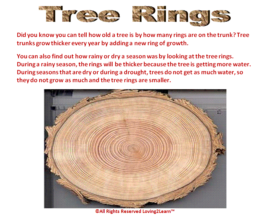 Challenges Charts Science Charts Tree Rings